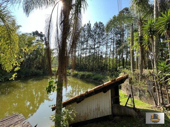 Imagem Imóvel com 5 Quartos à Venda, 2.000 m² em Itatuba - São Lourenço Da Serra