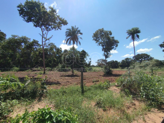 Imagem Fazenda à Venda, em Zona Rural - Caceres Imagem Fazenda à Venda, em Zona Rural - Caceres