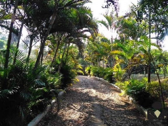 Imagem Imóvel com 4 Quartos à Venda, 11.000 m² em Quintas Da Serra - Caeté