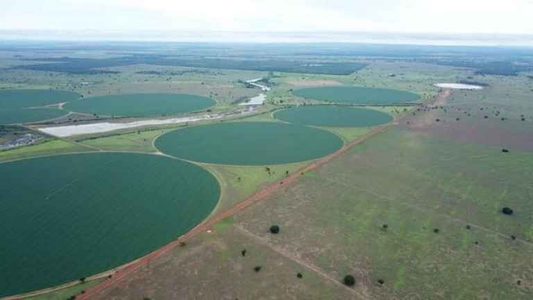 Imagem Fazenda à Venda, 3.000 m² em Zona Rural - Jussara Imagem Fazenda à Venda, 3.000 m² em Zona Rural - Jussara