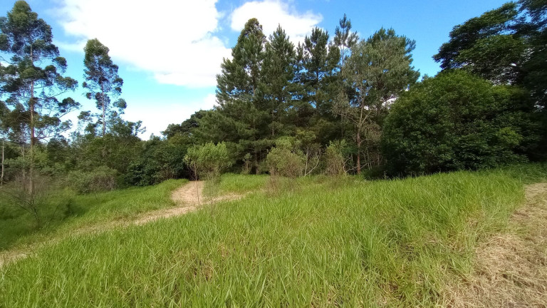 Imagem Imóvel com 2 Quartos à Venda, 28.600 m² em Passo Da Areia - Viamão