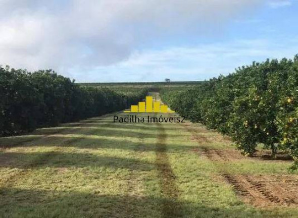 Fazenda à Venda, 350 m² em Residencial Vale Verde - Marília