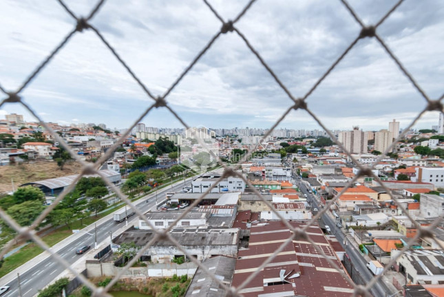 Imagem Apartamento com 3 Quartos à Venda, 58 m² em Limão - São Paulo Imagem Apartamento com 3 Quartos à Venda, 58 m² em Limão - São Paulo
