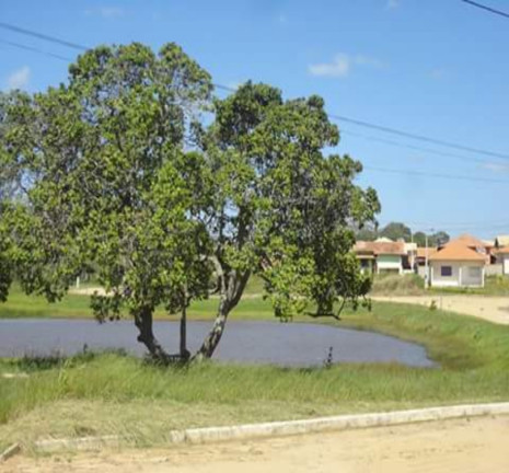 Imagem Casa com 4 Quartos à Venda, 200 m² em Outeiro - Araruama