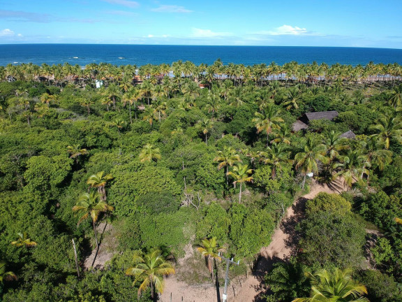 Imagem Terreno à Venda, 1.500 m² em Algodões - Marau Imagem Terreno à Venda, 1.500 m² em Algodões - Marau