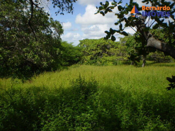 Imagem Chácara à Venda, 139 m² em Sitio Prata - Cascavel Imagem Chácara à Venda, 139 m² em Sitio Prata - Cascavel