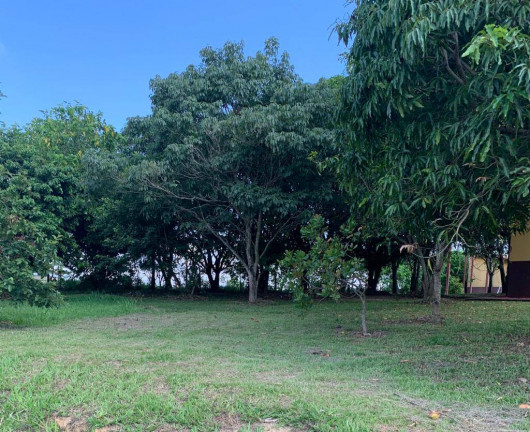Imagem Chácara com 4 Quartos à Venda, 20.000 m² em Centro - Boituva Imagem Chácara com 4 Quartos à Venda, 20.000 m² em Centro - Boituva