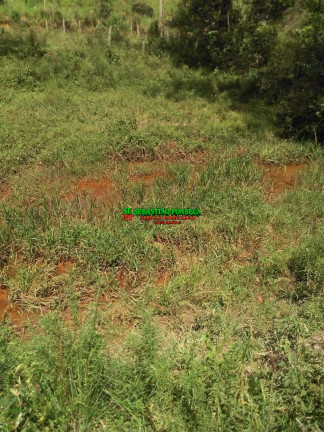 Imagem Chácara à Venda, 24.200 m² em São Francisco Xavier - São José Dos Campos Imagem Chácara à Venda, 24.200 m² em São Francisco Xavier - São José Dos Campos
