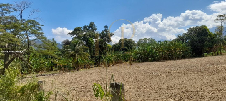 Imagem Imóvel com 4 Quartos à Venda, 2.100 m² em Santa Cândida - Itaguaí