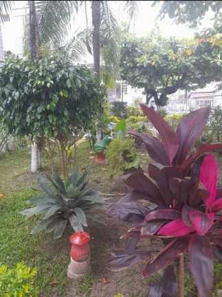 Imagem Apartamento com 1 Quarto à Venda, 32 m² em Ocian - Praia Grande Imagem Apartamento com 1 Quarto à Venda, 32 m² em Ocian - Praia Grande