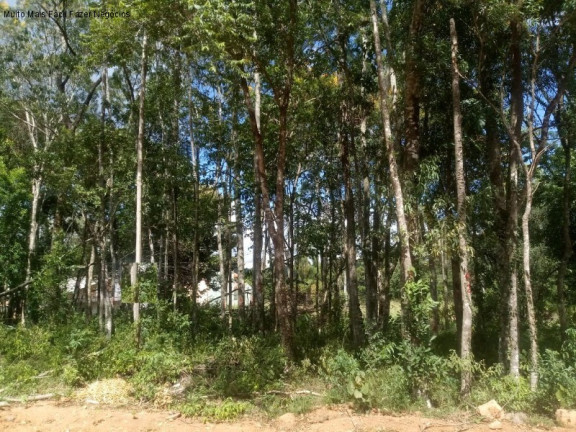 Terreno à Venda, 409 m² em Pousada Da Neve - Nova Petrópolis