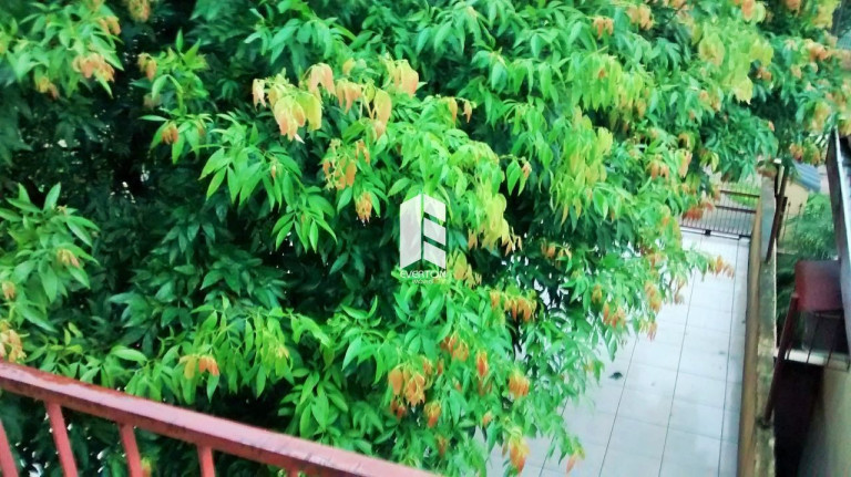 Imagem Casa com 3 Quartos à Venda, 160 m² em Tancredo Neves - Santa Maria