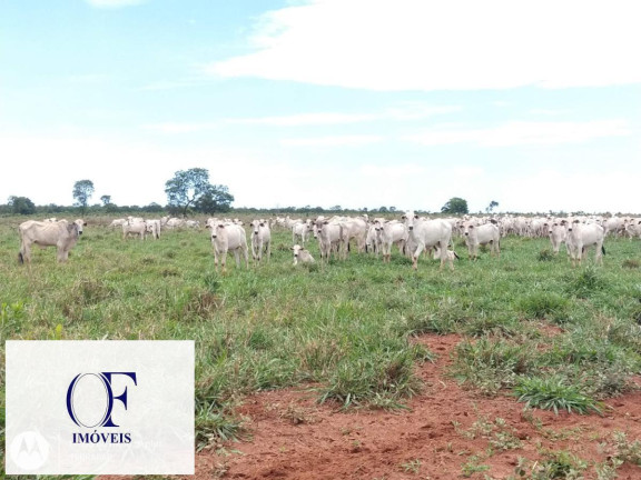 Imagem Fazenda à Venda, 3.097 m² em Rural - Chapadão Do Sul Imagem Fazenda à Venda, 3.097 m² em Rural - Chapadão Do Sul