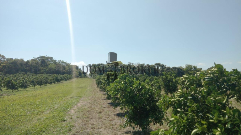 Imagem Fazenda à Venda, 555.000 m² em Sao Vicente - Araruama Imagem Fazenda à Venda, 555.000 m² em Sao Vicente - Araruama
