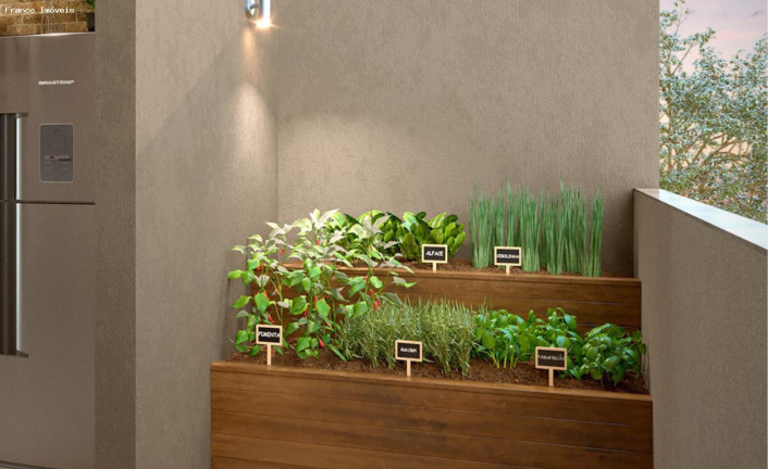 Imagem Apartamento com 3 Quartos à Venda, 80 m² em Vila Floresta - Santo André