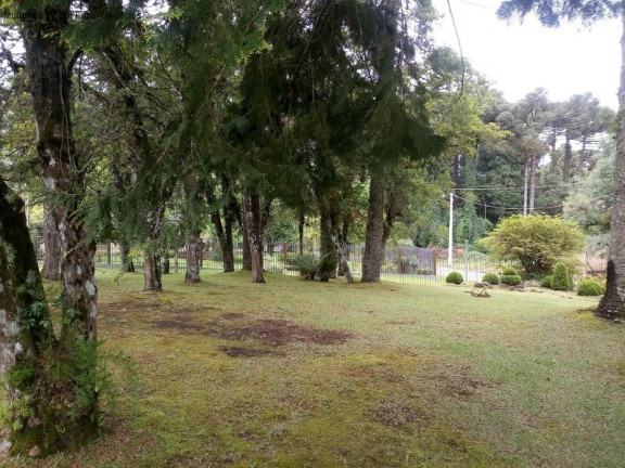 Imagem Casa com 4 Quartos à Venda, 280 m² em Sinoserra - Canela Imagem Casa com 4 Quartos à Venda, 280 m² em Sinoserra - Canela
