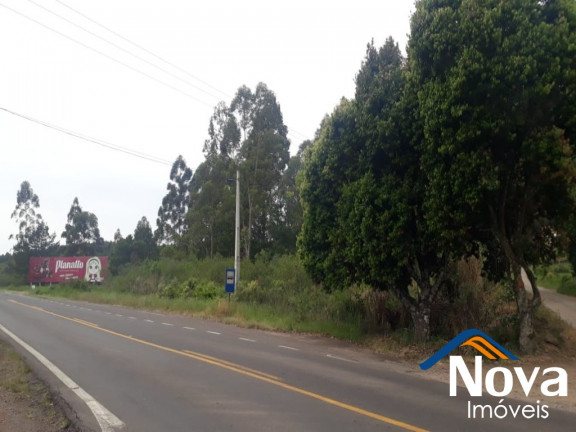 Imagem Imóvel à Venda, 10.211 m² em Linha Araripe - Nova Petrópolis