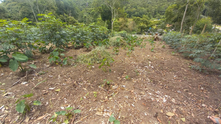 Imagem Terreno à Venda, 900 m² em Centro - Nova Friburgo Imagem Terreno à Venda, 900 m² em Centro - Nova Friburgo