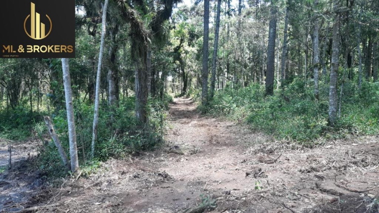 Imóvel à Venda, 60.500 m² em Quitandinha - Quitandinha