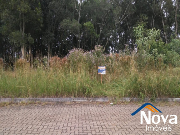 Imagem Imóvel à Venda, 450 m² em Pousada Da Neve - Nova Petrópolis