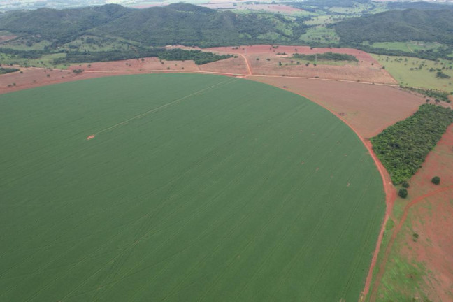 Imagem Fazenda à Venda, 60 m² em Zona Rural - Morrinhos Imagem Fazenda à Venda, 60 m² em Zona Rural - Morrinhos