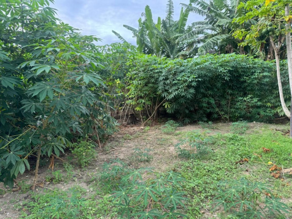 Imagem Terreno à Venda, 300 m² em São Francisco Da Praia - São Sebastião