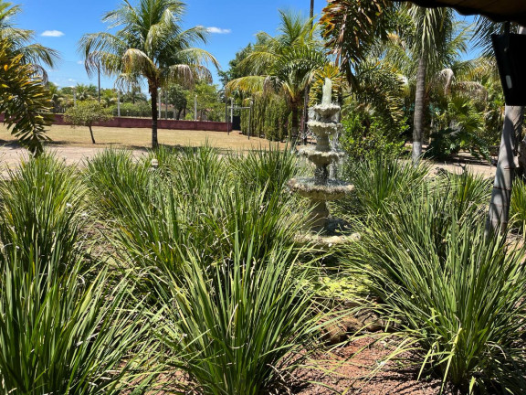 Imagem Chácara à Venda, 11.000 m² em Pr-323 - Umuarama