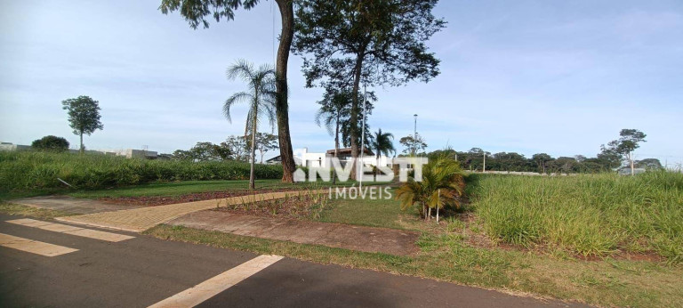 Imagem Chácara com 1 Quarto à Venda, 2.390 m² em Florata Condomínio Florestal - Santo Antônio De Goiás Imagem Chácara com 1 Quarto à Venda, 2.390 m² em Florata Condomínio Florestal - Santo Antônio De Goiás