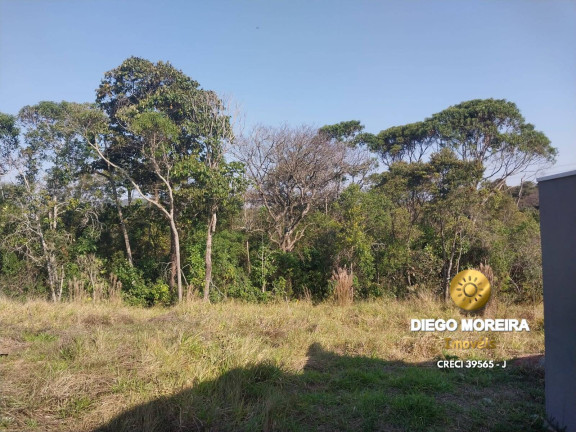 Imagem Terreno à Venda, 140 m² em Terra Preta - Mairiporã