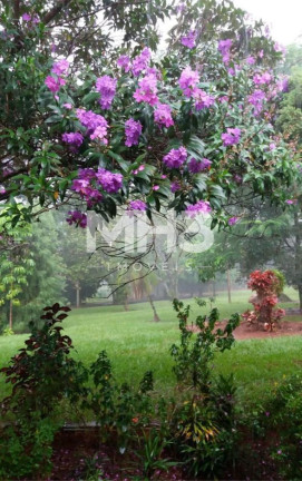 Imagem Imóvel com 6 Quartos à Venda, 108.900 m² em Tatu - Limeira