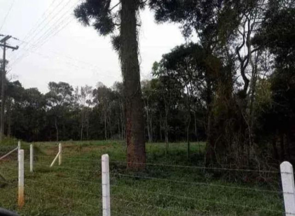 Imagem Imóvel à Venda, 22.000 m² em Areia Branca Dos Assis - Mandirituba Imagem Imóvel à Venda, 22.000 m² em Areia Branca Dos Assis - Mandirituba