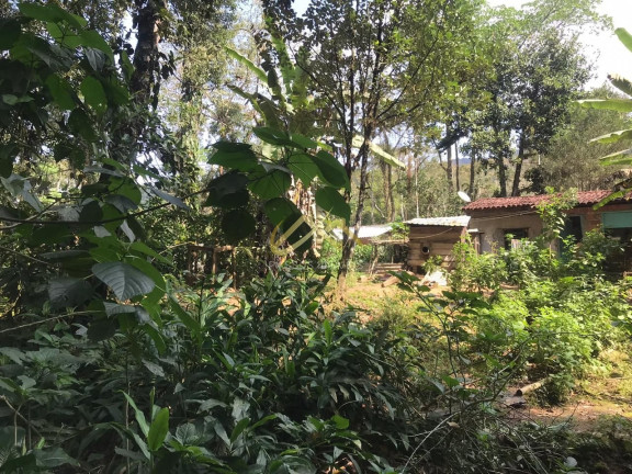 Imagem Terreno à Venda, 32 m² em Horto Florestal - Ubatuba