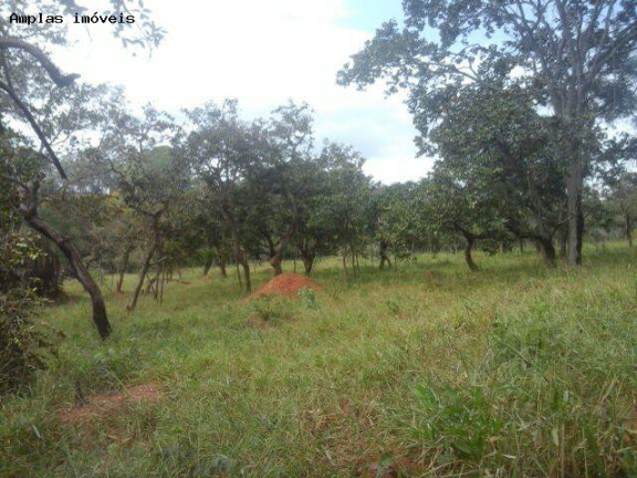 Imagem Terreno à Venda, 4 m² em Duque De Caxias - Mateus Leme