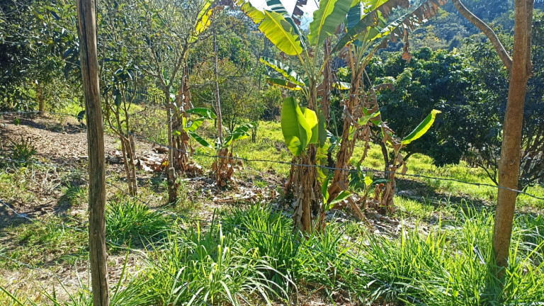 Imagem Chácara com 3 Quartos à Venda, 500 m² em Cedro - Paraibuna Imagem Chácara com 3 Quartos à Venda, 500 m² em Cedro - Paraibuna