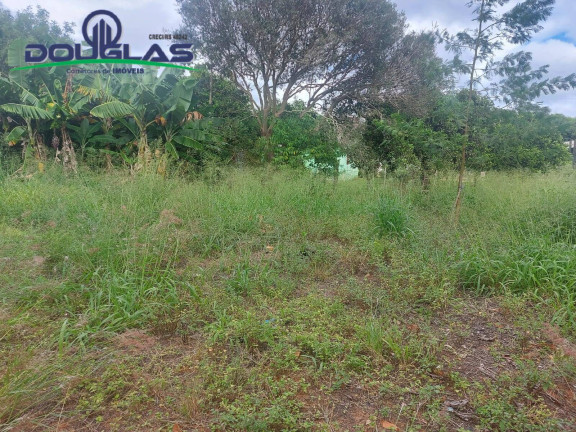 Imagem Terreno à Venda, 448 m² em Viamão Imagem Terreno à Venda, 448 m² em Viamão