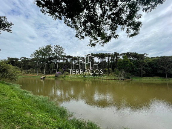 Imagem Imóvel com 4 Quartos à Venda, 390 m² em Condomínio Jardim Das Palmeiras - Bragança Paulista Imagem Imóvel com 4 Quartos à Venda, 390 m² em Condomínio Jardim Das Palmeiras - Bragança Paulista