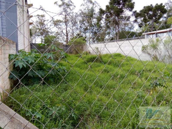 Imagem Terreno à Venda, 360 m² em Costeira - São José Dos Pinhais Imagem Terreno à Venda, 360 m² em Costeira - São José Dos Pinhais