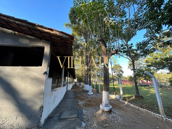 Imagem Chácara com 5 Quartos à Venda, 2.500 m² em Caldazinha Imagem Chácara com 5 Quartos à Venda, 2.500 m² em Caldazinha