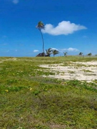 Imagem Terreno à Venda, 2.800 m² em Centro - Entre Rios