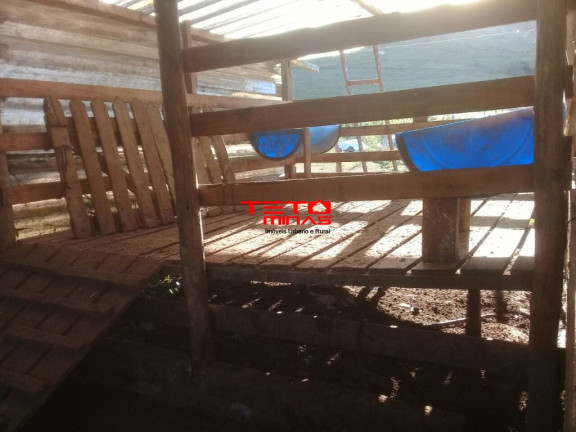 Imagem Imóvel com 2 Quartos à Venda, 146 m² em Zona Rural Carmo De Minas - Carmo De Minas Imagem Imóvel com 2 Quartos à Venda, 146 m² em Zona Rural Carmo De Minas - Carmo De Minas