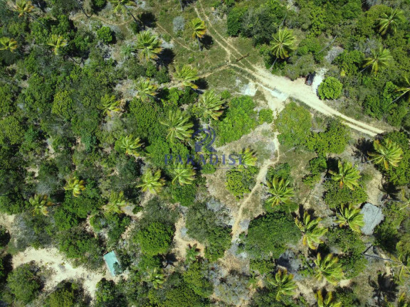 Imagem Terreno à Venda, 6.000 m² em Diogo - Mata De São João Imagem Terreno à Venda, 6.000 m² em Diogo - Mata De São João
