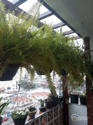 Imagem Apartamento com 3 Quartos à Venda, 80 m² em Jardim Sao Paulo(zona Norte) - São Paulo