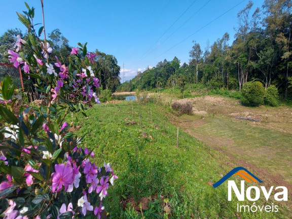 Imagem Imóvel à Venda, 32.549 m² em Linha Olinda - Nova Petrópolis