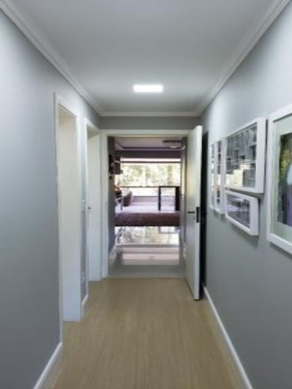 Imagem Apartamento com 3 Quartos à Venda, 106 m² em Jardim Lindóia - Porto Alegre Imagem Apartamento com 3 Quartos à Venda, 106 m² em Jardim Lindóia - Porto Alegre
