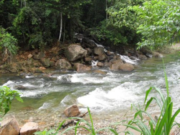 Terreno à Venda, 1.170 m² em Residencial Park Hills - Ubatuba