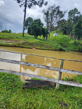 Imagem Imóvel com 3 Quartos à Venda, 77.860 m² em Zona Rural - Alfredo Wagner