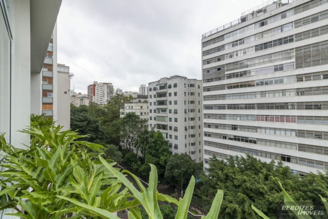Imagem Apartamento com 3 Quartos à Venda, 239 m² em Higienópolis - São Paulo Imagem Apartamento com 3 Quartos à Venda, 239 m² em Higienópolis - São Paulo