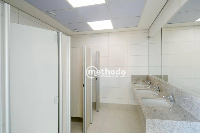 Imagem Sala Comercial para Alugar, 481 m² em Nova Campinas - Campinas Imagem Sala Comercial para Alugar, 481 m² em Nova Campinas - Campinas