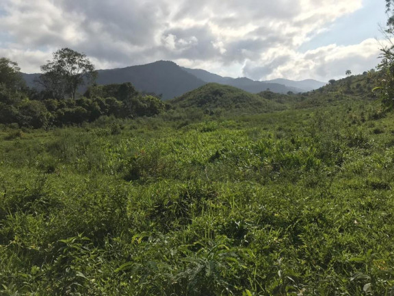 Imagem Fazenda à Venda, 2.178.000 m² em Eldorado - São Paulo Imagem Fazenda à Venda, 2.178.000 m² em Eldorado - São Paulo