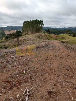 Imagem Fazenda à Venda, 59.000 m² em Alto Cedros - Rio Dos Cedros